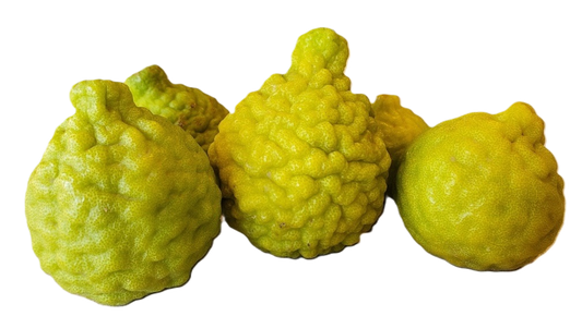 Kaffir/Makrut Limes - 5 Pounds