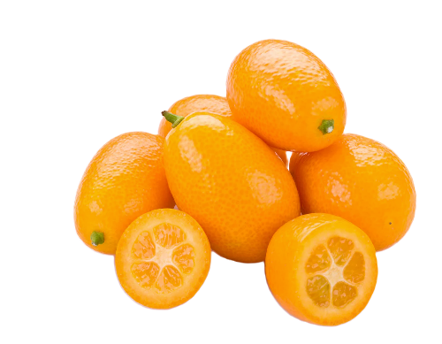 Nagami Kumquats - 5 Pounds