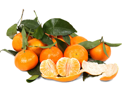 Mandarins - 10 Pounds