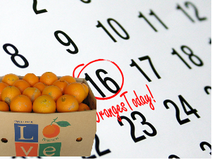 Monthly Juice Oranges - 35 Pounds