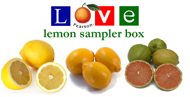 sample meyer eureka and pink lemons