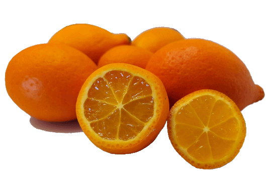 Mandarinquats - 5 Pounds