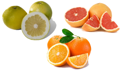 Grapefruit Orange Combo Pack